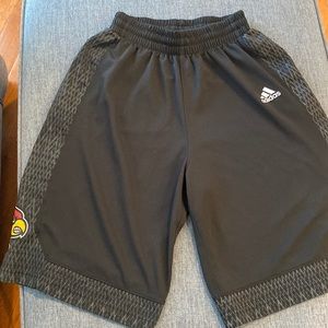 Adidas Louisville Cardinal Shorts